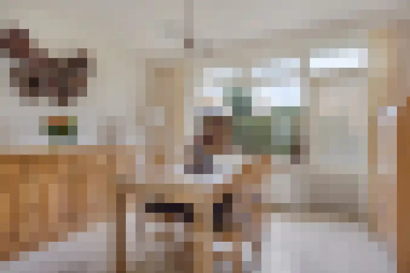 Hagelkruisweg 30 Meijel thumbnail 14