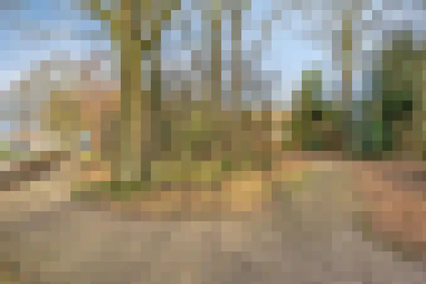 Hagelkruisweg 30 Meijel thumbnail 51