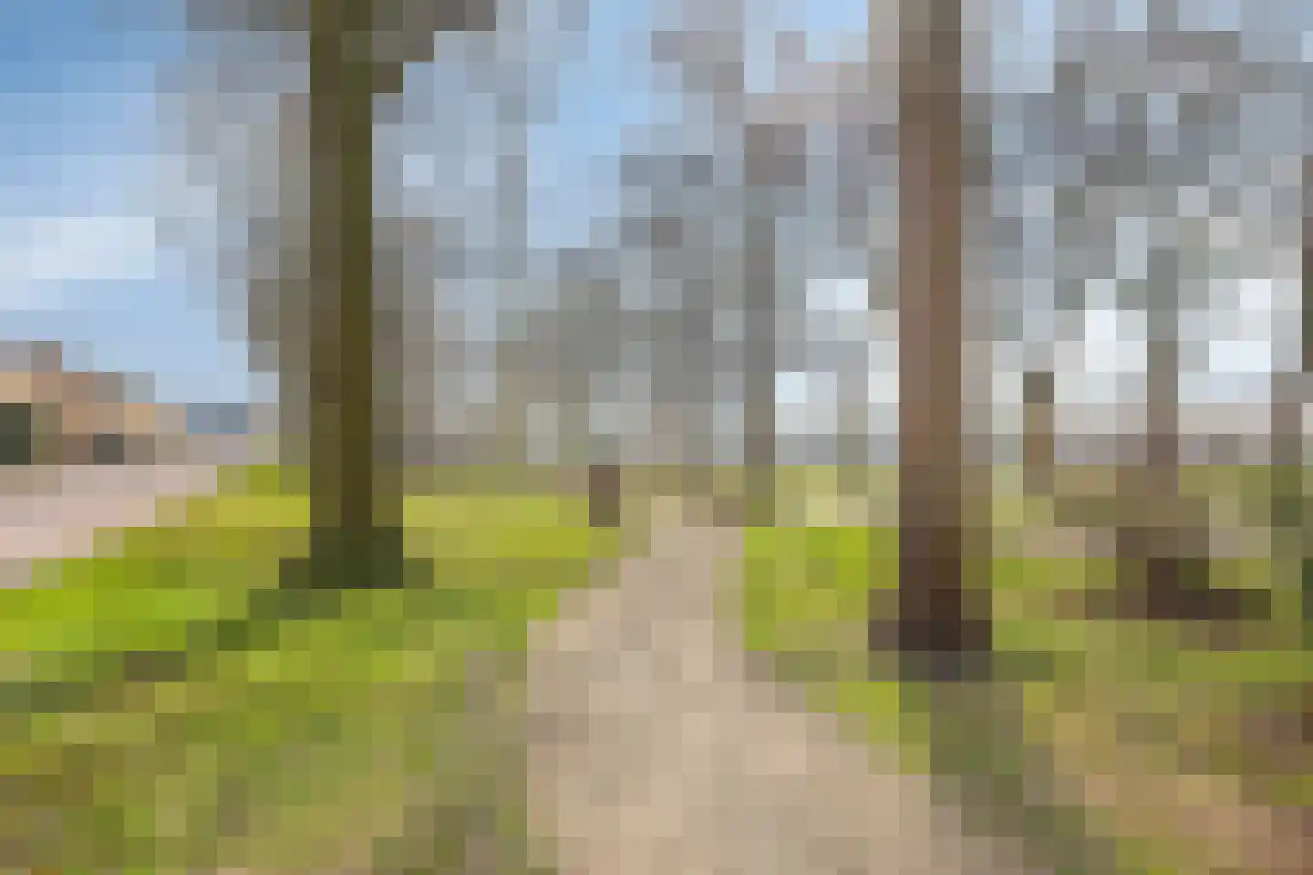 Hagelkruisweg 30 Meijel thumbnail 52