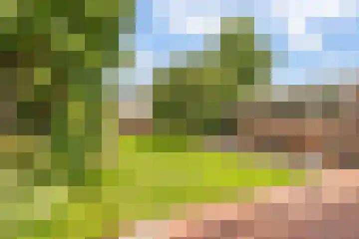 Hagelkruisweg 36 Wehl thumbnail 22