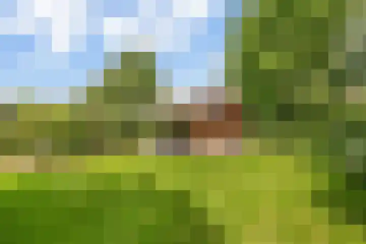 Hagelkruisweg 36 Wehl thumbnail 23