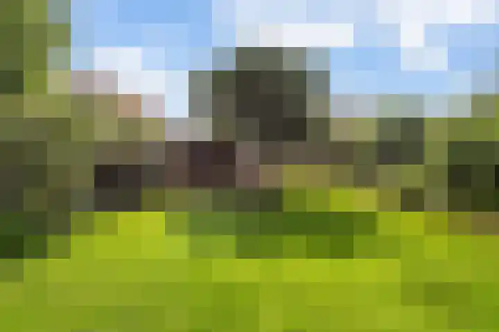 Hagelkruisweg 36 Wehl thumbnail 24