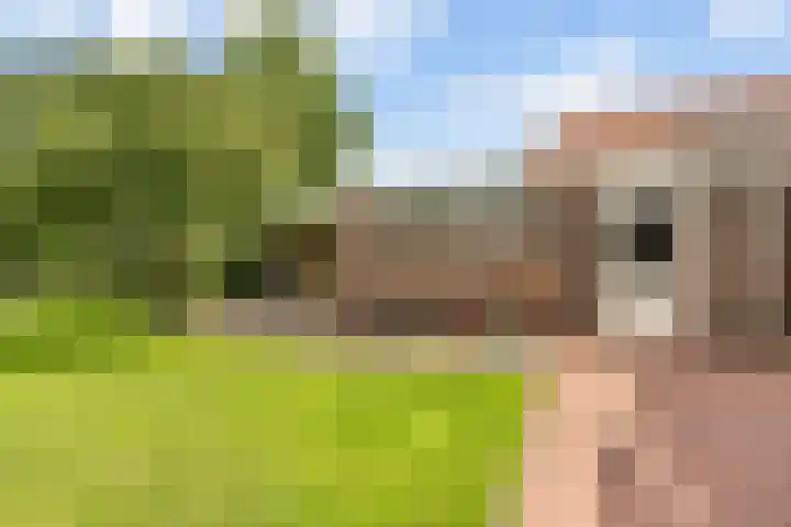 Hagelkruisweg 36 Wehl thumbnail 25