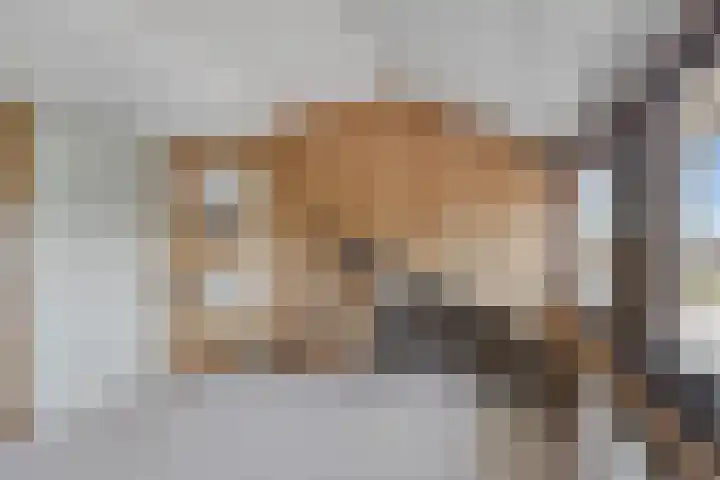 Hagelkruisweg 36 Wehl thumbnail 28