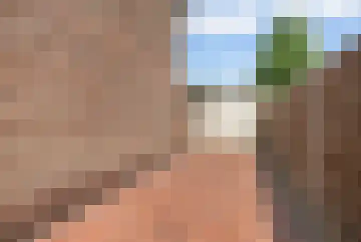 Hagelkruisweg 36 Wehl thumbnail 29