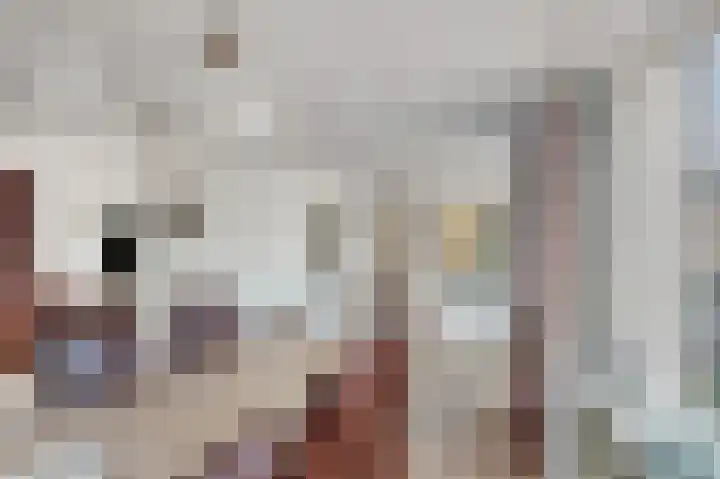 Hagelkruisweg 36 Wehl thumbnail 5