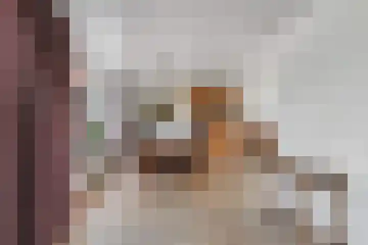 Hagelkruisweg 36 Wehl thumbnail 6
