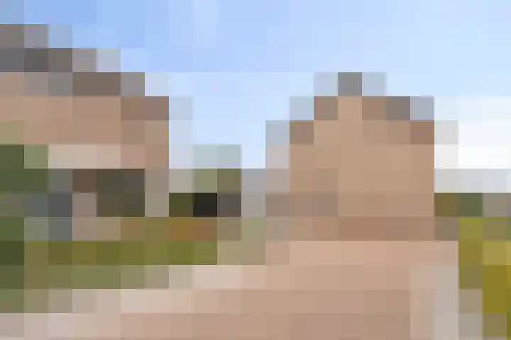 Hagelkruisweg 49 Sint Odiliënberg thumbnail 32