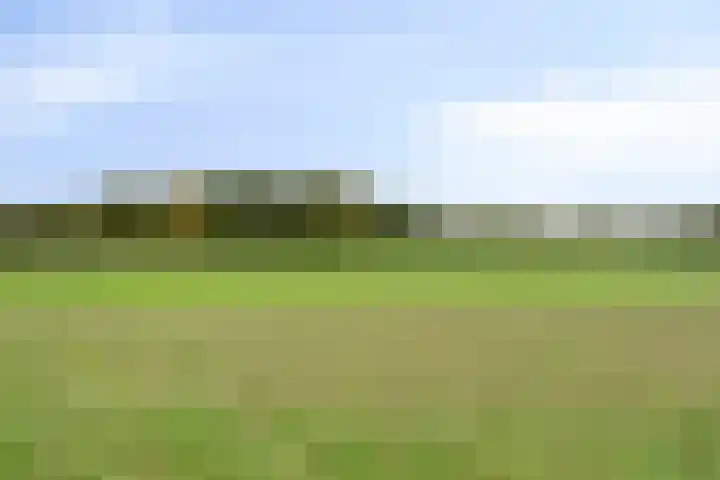 Hagelkruisweg 49 Sint Odiliënberg thumbnail 34