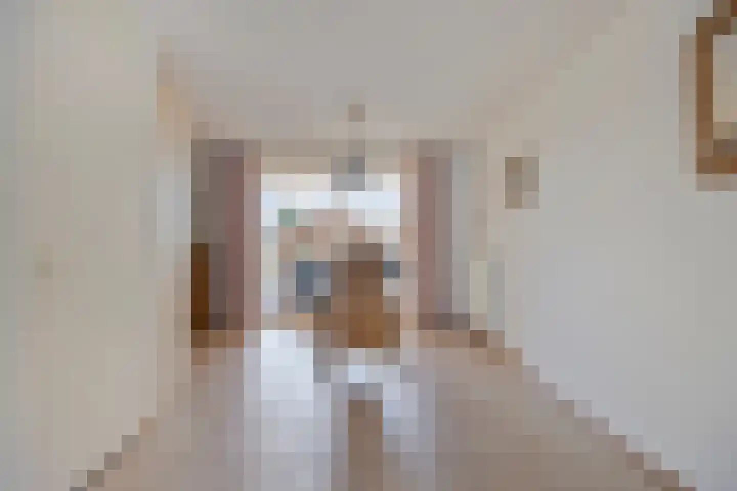 Hagelkruisweg 52 Meijel thumbnail 12