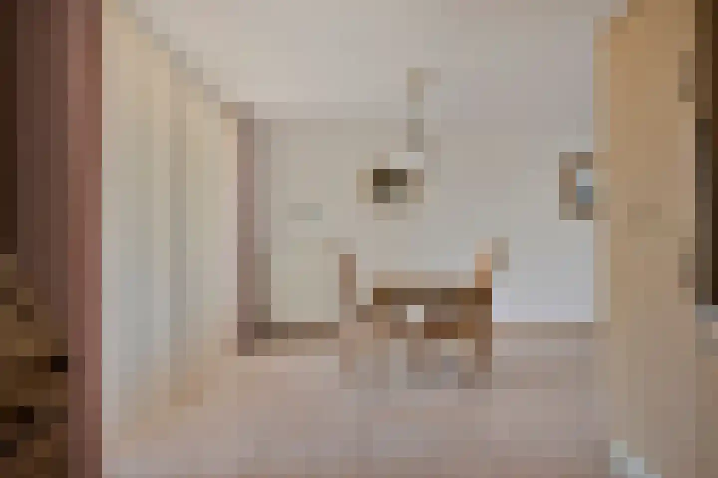 Hagelkruisweg 52 Meijel thumbnail 19