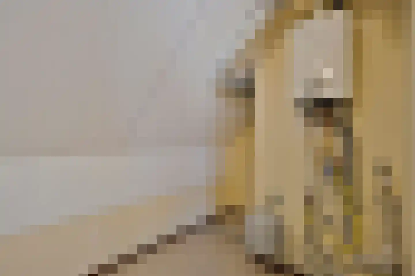 Hagelkruisweg 52 Meijel thumbnail 37