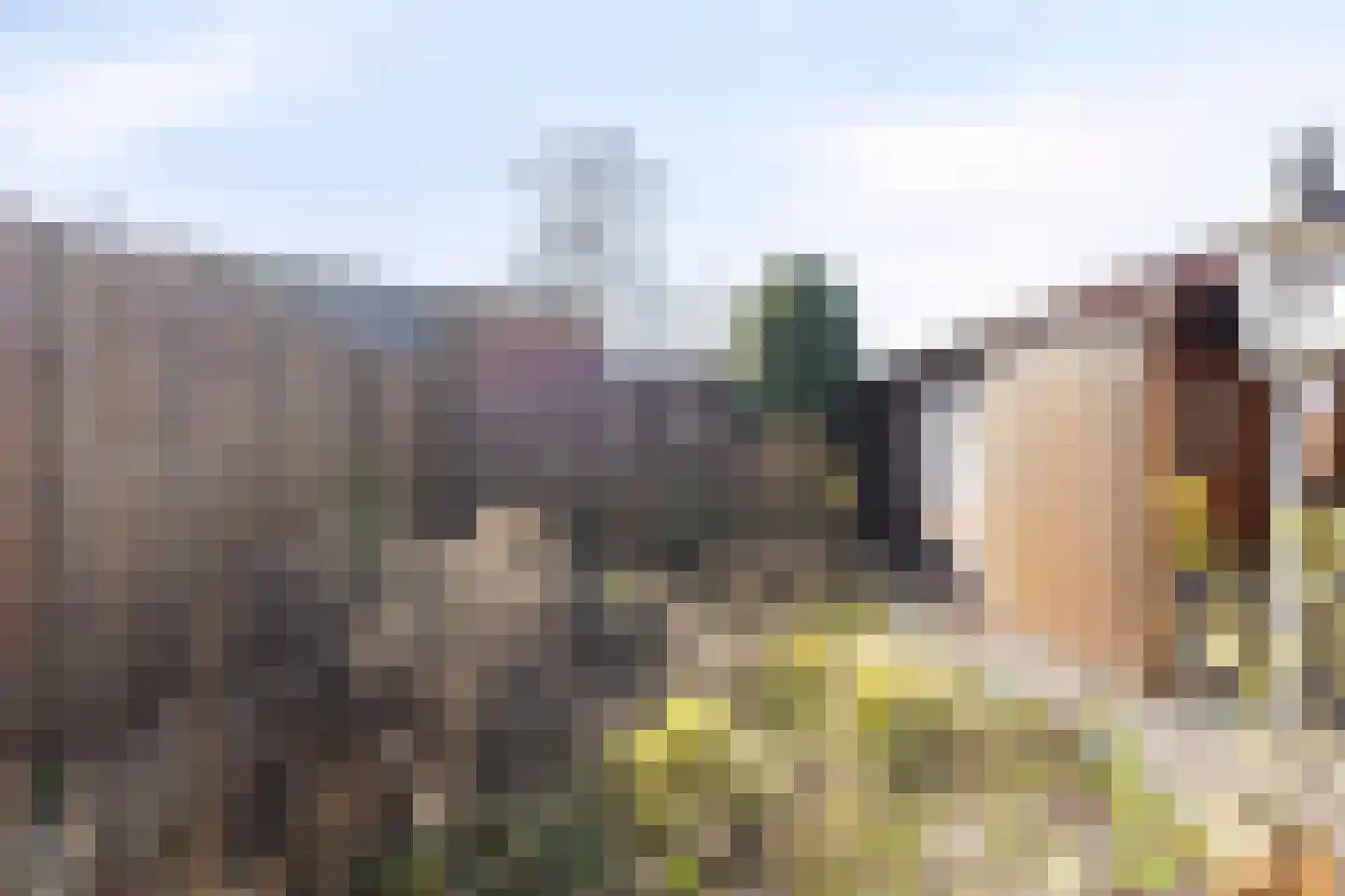 Hagelkruisweg 52 Meijel thumbnail 44