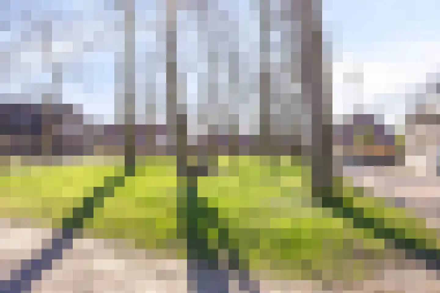 Hagelkruisweg 52 Meijel thumbnail 51