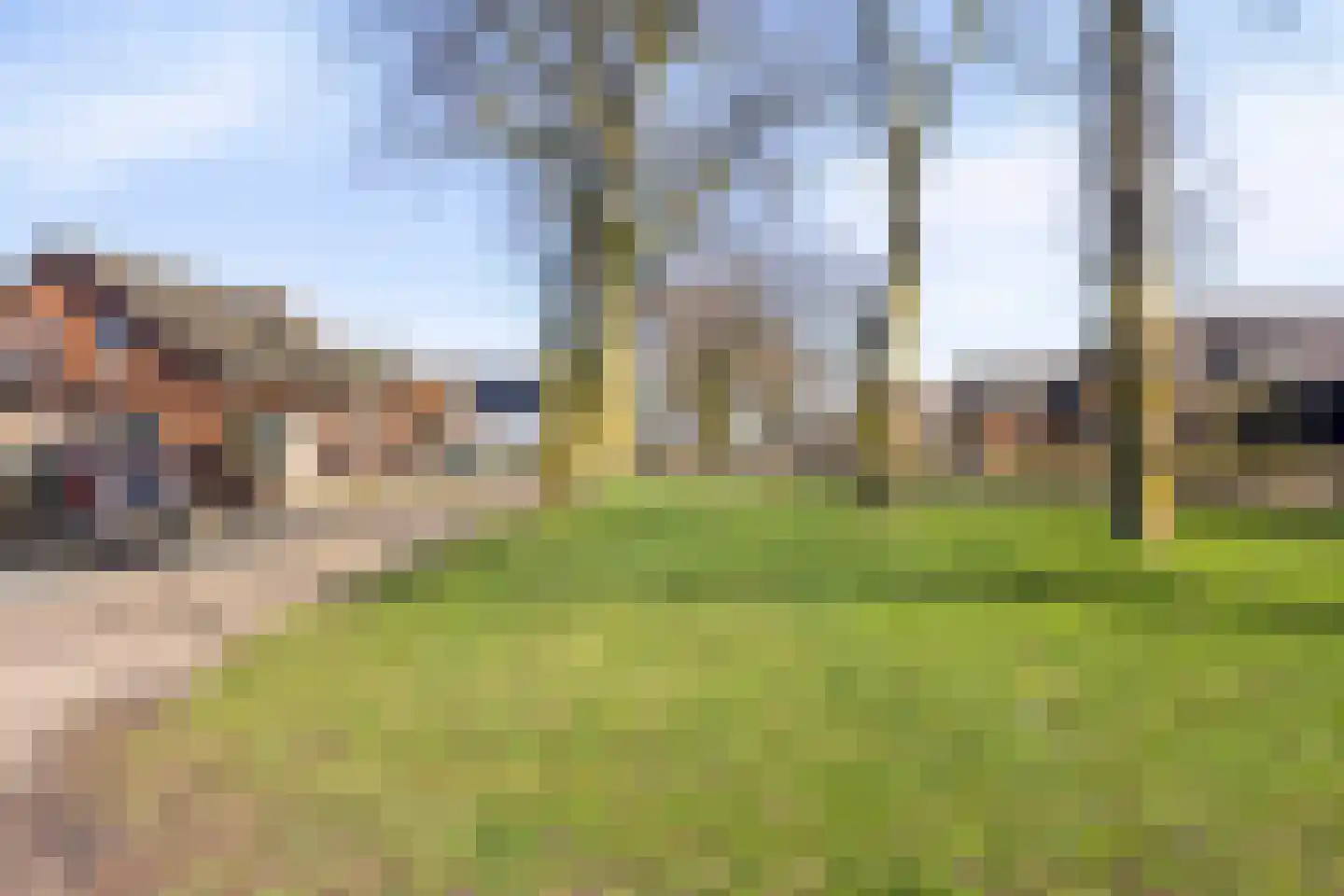 Hagelkruisweg 52 Meijel thumbnail 52