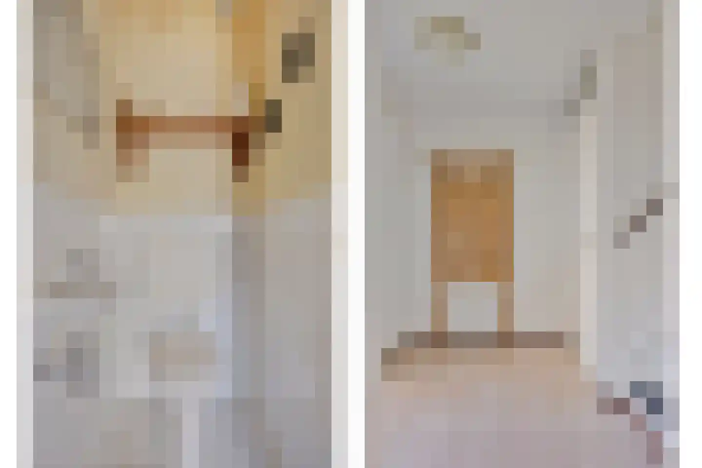 Hagelkruisweg 52 Meijel thumbnail 7