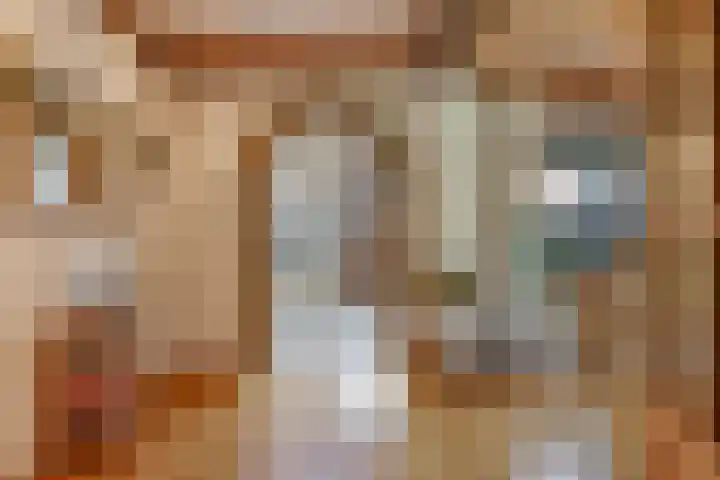 Hagelkruisweg 6 Wehl thumbnail 14