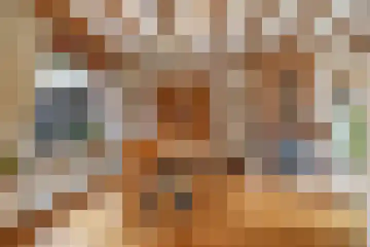Hagelkruisweg 6 Wehl thumbnail 15