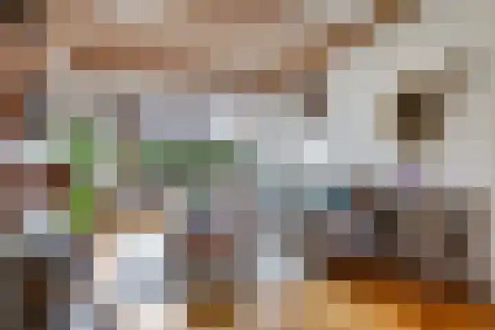 Hagelkruisweg 6 Wehl thumbnail 16