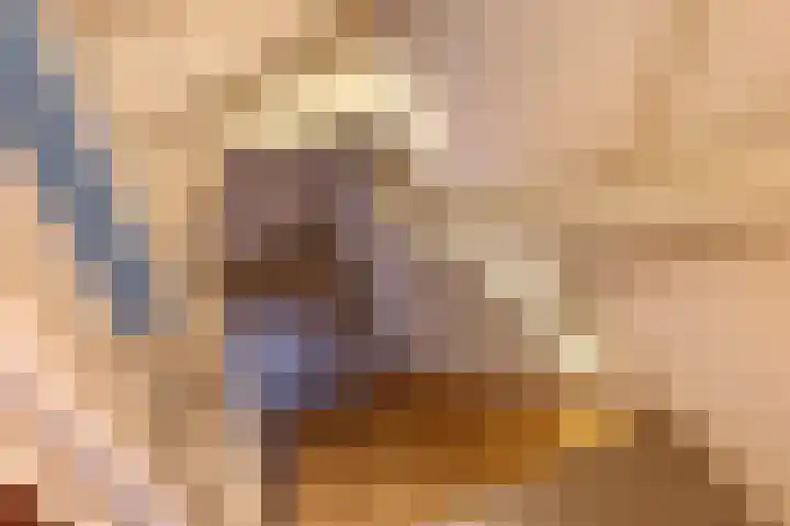 Hagelkruisweg 6 Wehl thumbnail 25