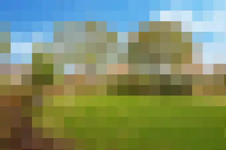 Hagelkruisweg 6 Wehl thumbnail 37