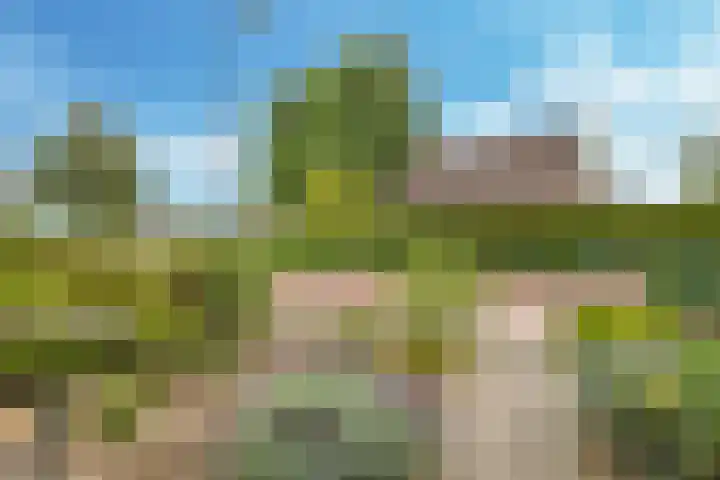 Hagelkruisweg 6 Wehl thumbnail 40