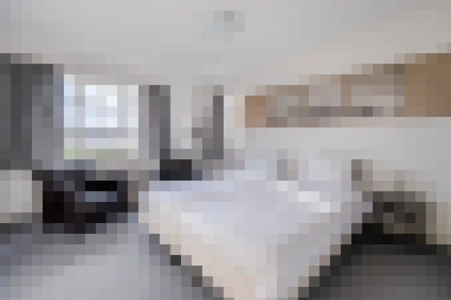 Hagelkruisweg 7 Sint Odiliënberg thumbnail 33
