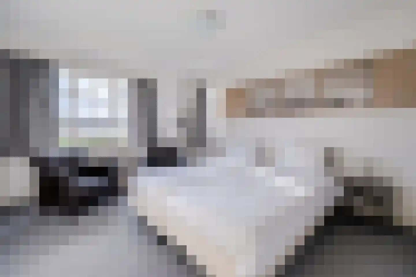 Hagelkruisweg 7 Sint Odiliënberg thumbnail 33