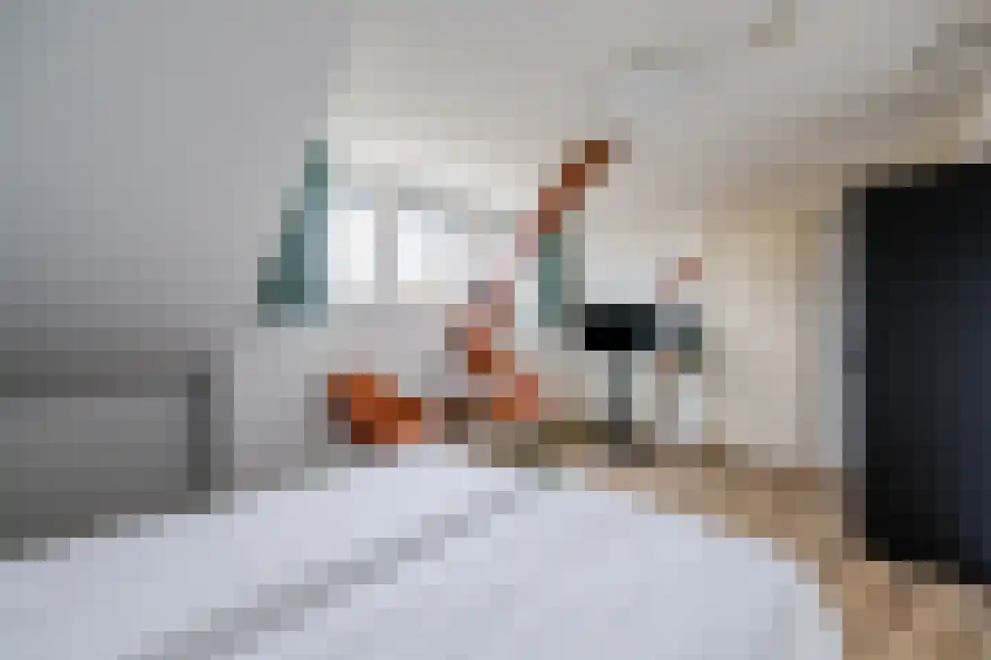 Hagelkruisweg 7 Sint Odiliënberg thumbnail 41