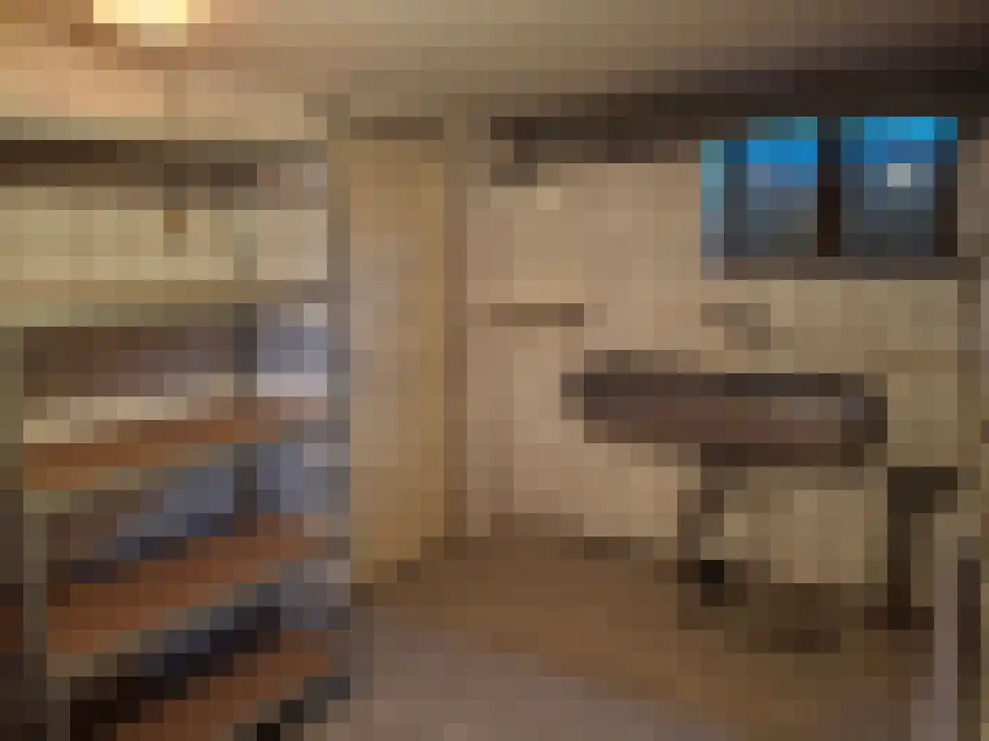 Hagelkruisweg 7 Sint Odiliënberg thumbnail 46