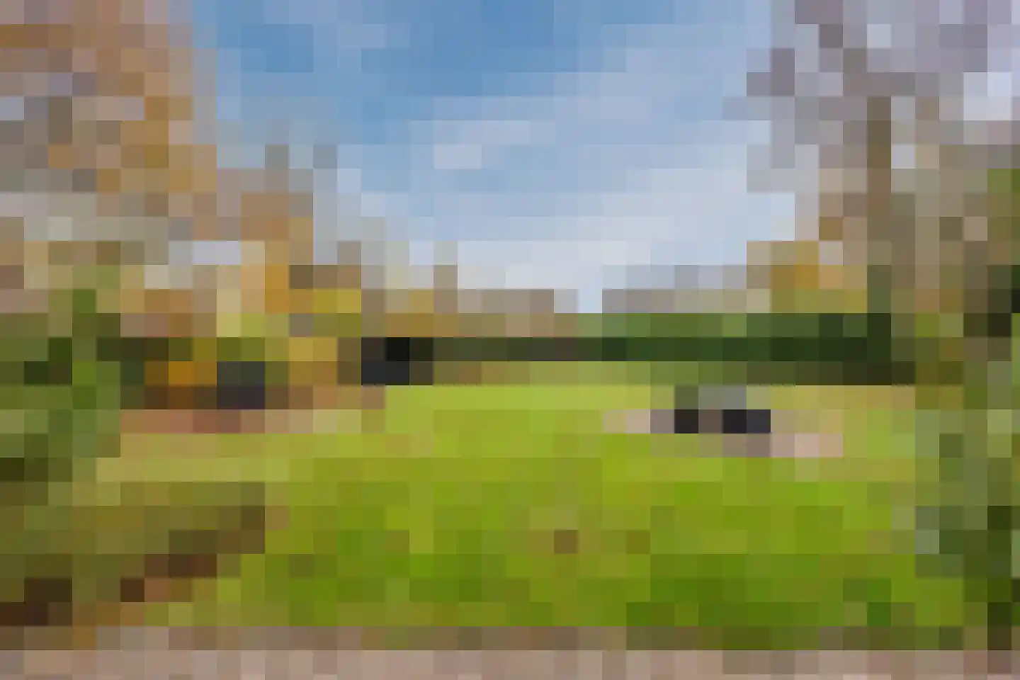 Hagelkruisweg 7 Sint Odiliënberg thumbnail 47