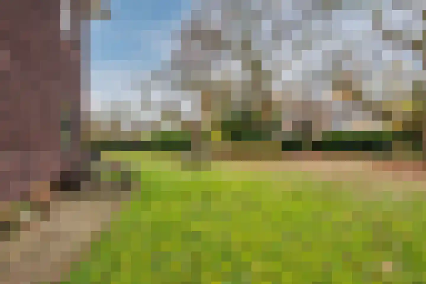 Hagelkruisweg 7 Sint Odiliënberg thumbnail 50