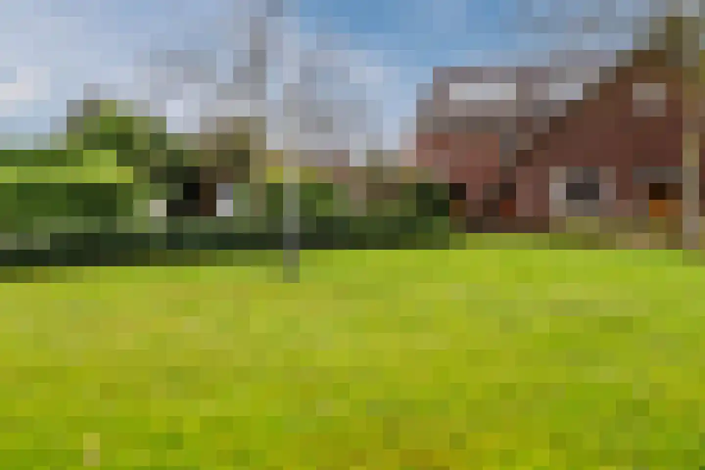 Hagelkruisweg 7 Sint Odiliënberg thumbnail 53