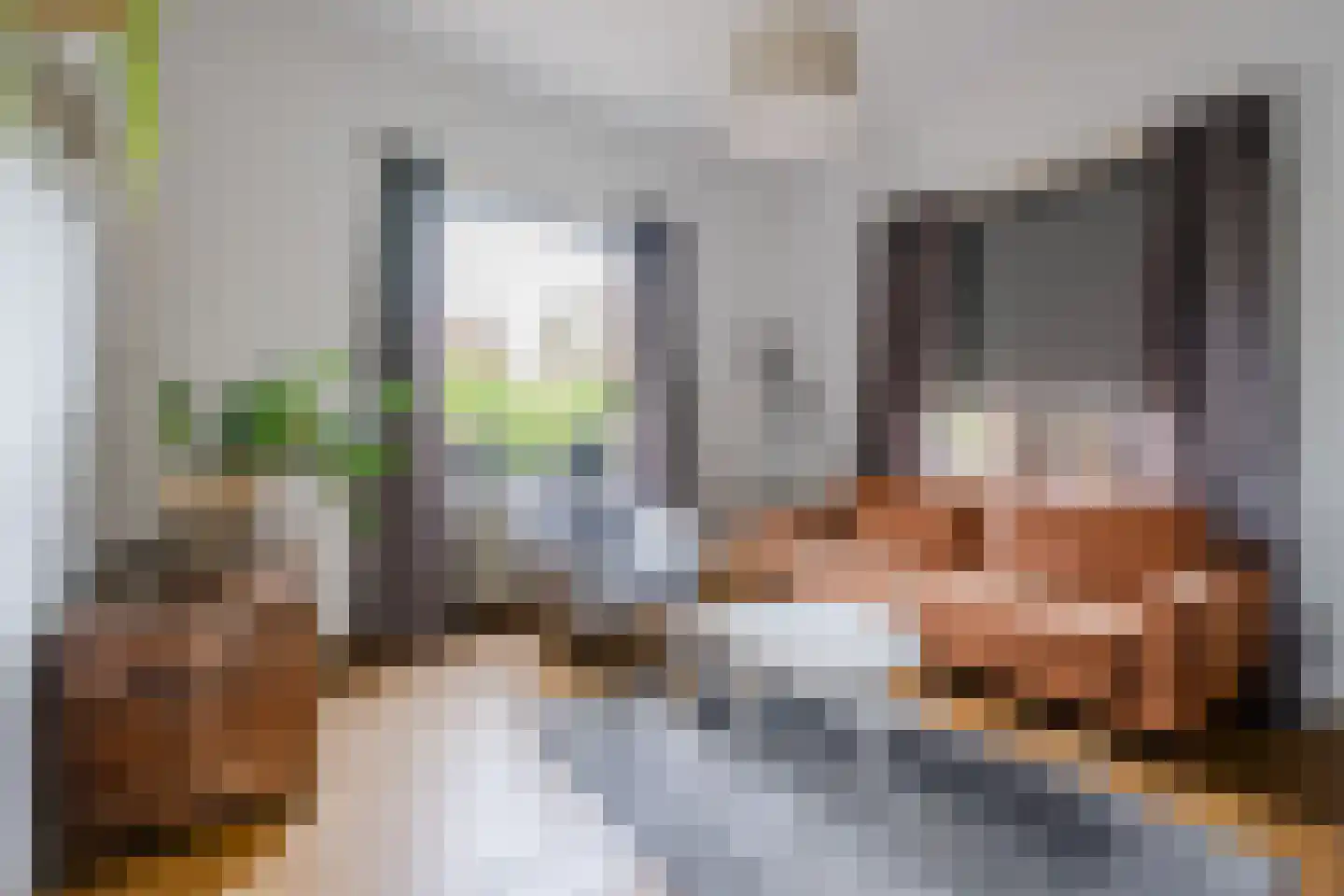 Hagelkruisweg 7 Sint Odiliënberg thumbnail 7