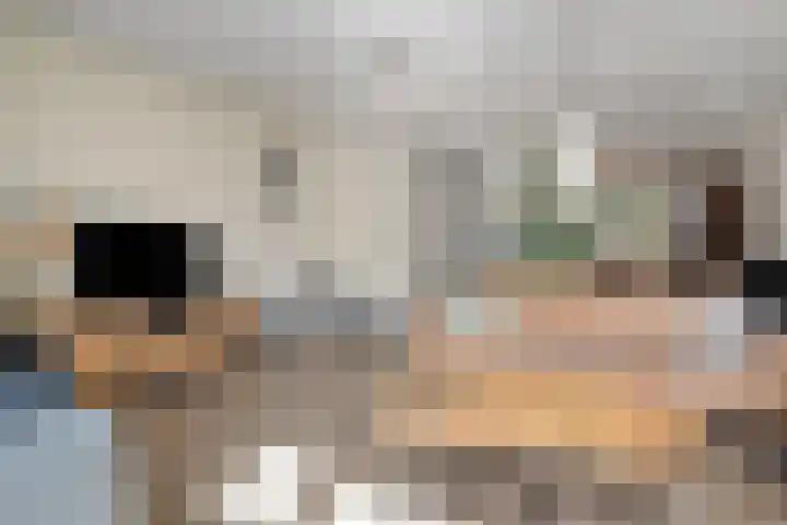 Hagelstege 13 Den Ham thumbnail 13