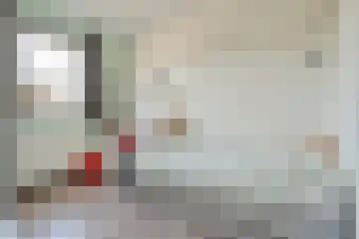 Hagelstege 13 Den Ham thumbnail 25