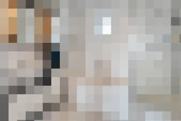 Hagelstege 13 Den Ham thumbnail 29