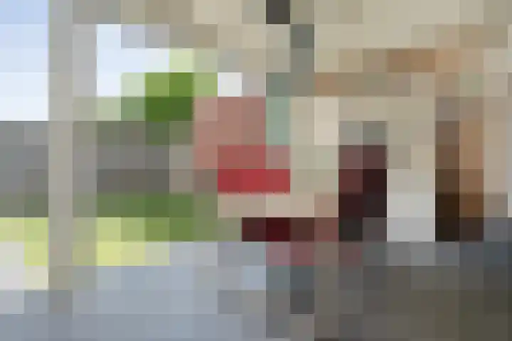 Hagelstege 13 Den Ham thumbnail 33