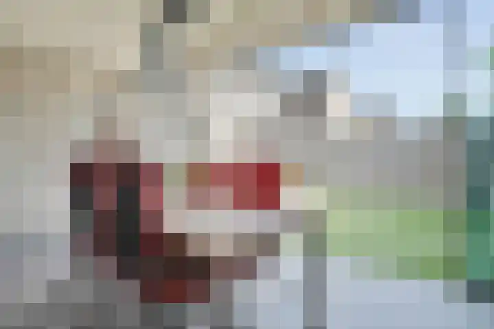 Hagelstege 13 Den Ham thumbnail 34