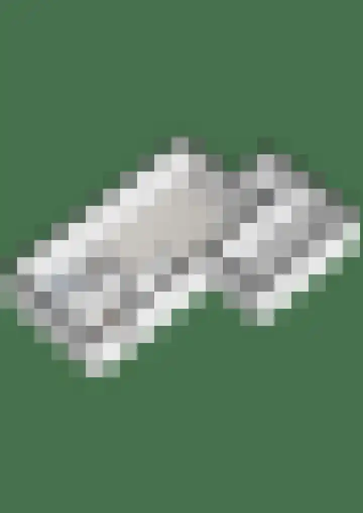 Hagelstege 13 Den Ham thumbnail 40