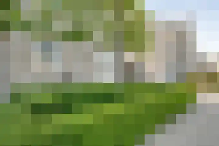 Hagelstege 13 Den Ham thumbnail 5