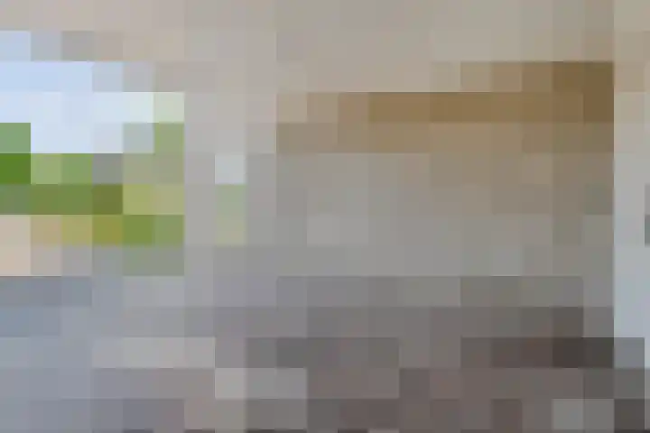 Hagelstege 13 Den Ham thumbnail 6
