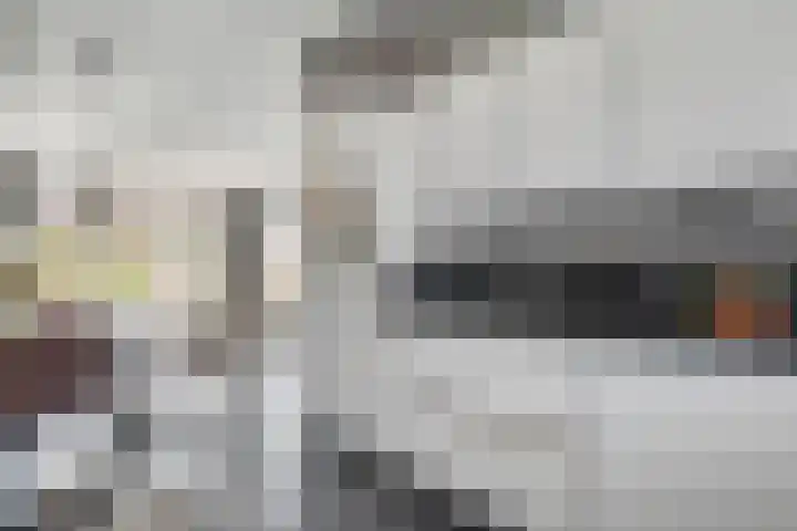 Hagelstege 3 Den Ham thumbnail 13