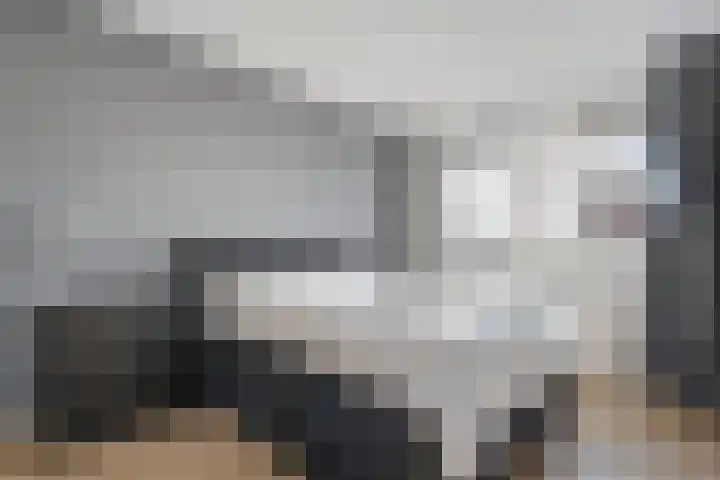Hagelstege 3 Den Ham thumbnail 19