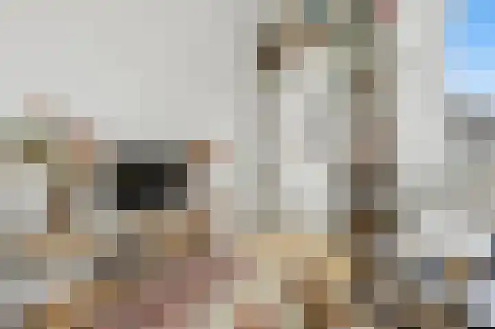 Hagelstege 3 Den Ham thumbnail 21