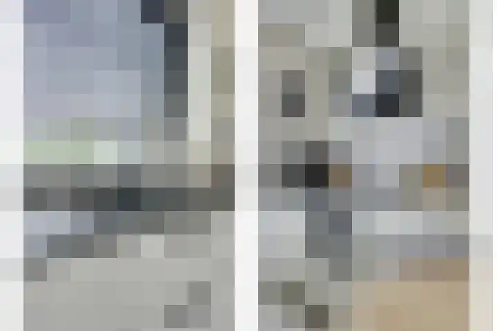 Hagelstege 3 Den Ham thumbnail 24