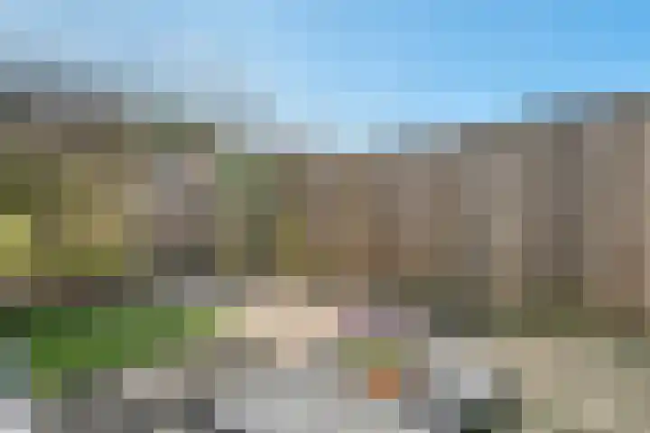 Hagelstege 3 Den Ham thumbnail 28
