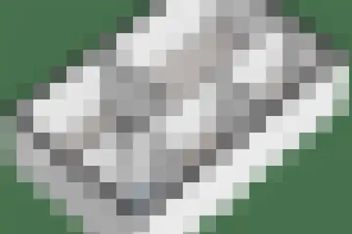 Hagelstege 3 Den Ham thumbnail 34