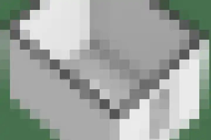Hagelstege 3 Den Ham thumbnail 38