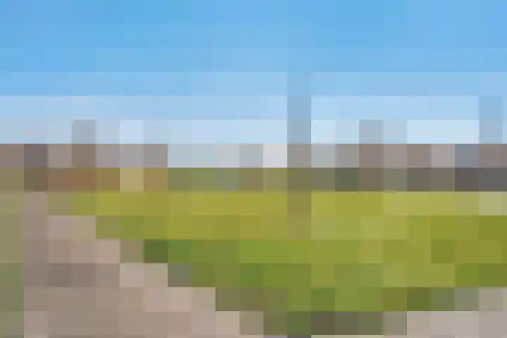 Hagelstege 3 Den Ham thumbnail 5